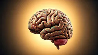 Decoding Neurodiversity: A Parent's Guide to Understanding and Identifying Your Child's Unique Brain