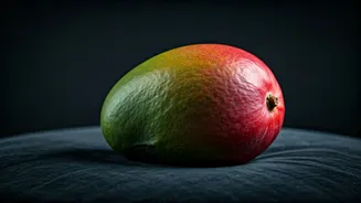 Kohitur Mango: India's Royal Fruit Too Precious for Even the Wealthiest