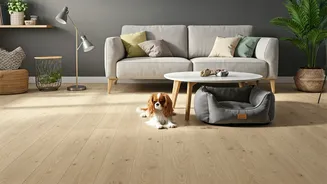 Stylish Homes Can Still Work For Pets