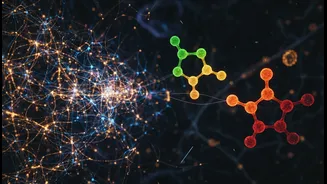 Sugar Choices And Hunger Signalling Could Decide Whether Glucose And Fructose Gut-Brain Research Succeeds