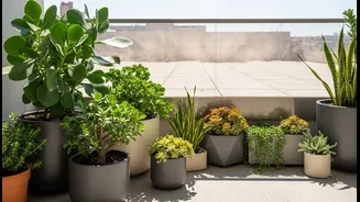 Concrete Heat Has Entered The Gardening Feed