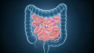 Unlock Protein's Power: Understanding Absorption Science for Optimal Health