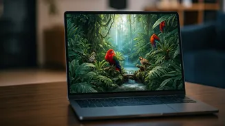 Unlock Global Nature Documentaries: Your Best-Ever VPN Travel Companion