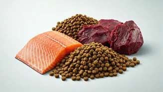 High-Protein Food Is The New Dog-Bowl Flex