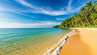 India's Pristine Shores: Top Clean Beaches for Adventure and Serene Escapes