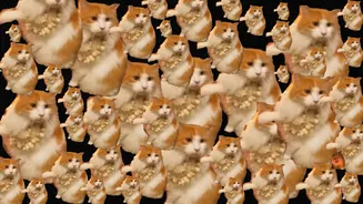 Optical Illusion: Spot The 'Yapapa Ummm, Yapapa Haane' Cat Among The Rest!