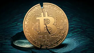 Crypto Market Faces Downturn: How to Cope?