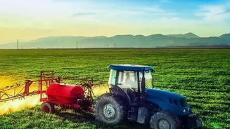 India's Latest Agrivoltaics Drive Puts Crop Shade, Water Use and Farm Income on One Checklist