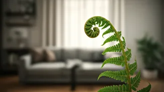 Ferns Add Calm Without Overcomplicating Decor