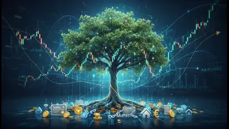 Portfolio Crowding, Risk And Asset Allocation: A Practical Checklist For Young Investors And SIP Savers
