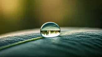 Unlock Inner Strength: 5 Qigong Secrets for Enhanced Emotional Resilience