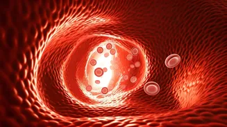 Sauna Sessions Supercharge Your Immune System: A Quick Boost Explained