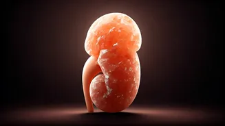 Kidney Health: Cutting Salt, Boosting Flavor