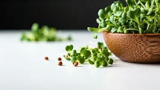 Microgreens Trend Hard Across Social Media For Instant Salad Upgrades