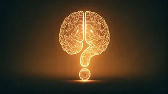 India’s Career Questions Are Getting More Human