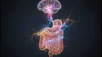 Behaviour and Digestion Often Need the Same Timeline to Make Sense