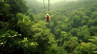 Jungle canopy tours on your list? Here's where to go