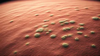 Fungal acne: Not your regular breakout