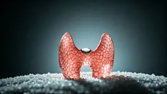 Iodized Salt & Thyroid Health: What You Need to Know