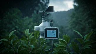 Check The Forecast Before Every Monsoon Adventure
