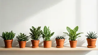 8 Foods for a Peaceful Home: Embrace Calm & Luck