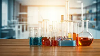 Kerala Science Congress: Students' Scientific Stroll with Experts