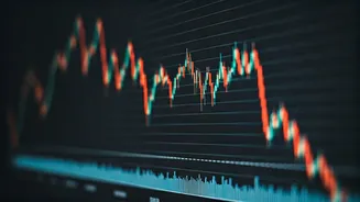 Lenskart IPO: What Investors Need to Know