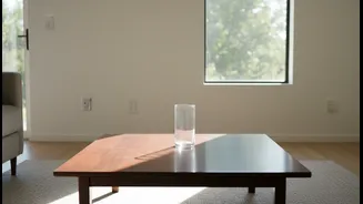 Less Clutter Makes Dust Easier to See and Faster to Remove