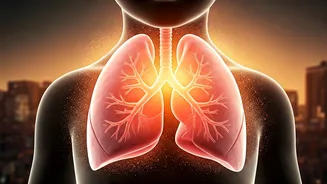 Invisible Threats: How Air Pollution Harms Your Child's Developing Lungs & What to Do