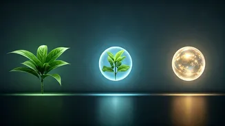 Wellness Planning Needs A Three-Part Check