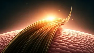 The Hair Growth Secrets Doctors Recommend