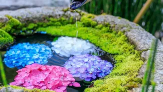 The Design Lesson From The Low-Water Gardening Shift: Water-Smart Garden Design