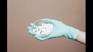 Avoid Antibiotic Self-Medication During Monsoon Illnesses