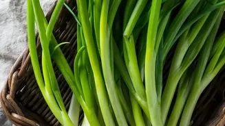 Why Onions Remain an Important Part of India's Everyday Food Basket