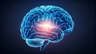 International Epilepsy Day 2026: Demystifying Epilepsy, a Neurological Disorder, Not a Mental Illness