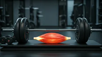 Unlock Your Strength: ACSM's Simple Rule for Consistent Muscle Gains & Physical Function