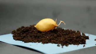 Related Stories banner