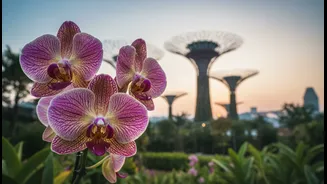 Skip a Standard City Break for Singapore’s Orchids, Supertrees and Heritage Trails