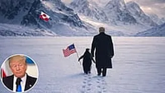 White House Penguin Meme Triggers Online Backlash Over Donald Trump’s Greenland Remarks