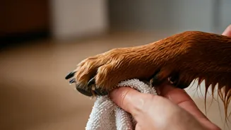 Monsoon Grooming Tips Every Pet Needs