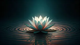 Jay Shetty: Unlocking Inner Purity to Combat Global Toxicity