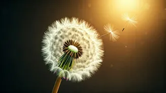 Nurturing Golden Dreams: Swami Vivekananda's Wisdom for Parenting