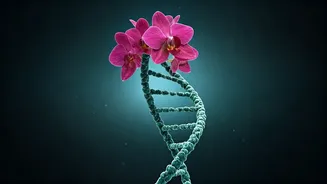 Unraveling Baby-Making Myths: Science Debunks Common Pregnancy Beliefs