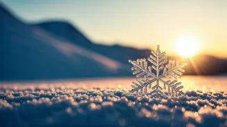 From Collision to Compassion: Reclaiming the Ski Season After a Husband's Crash