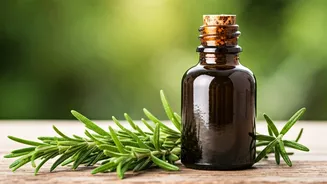 Grow Hair With Rosemary Oil: A Complete Guide