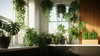 Nature Finds Space In Urban Homes