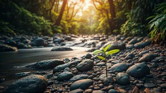 Hawaii Welcomes Visitors: Supporting Island Recovery Post-Storms with Responsible Tourism