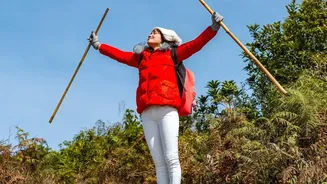 Nordic Walking's Everyday Fitness Shift Puts Simple Equipment In Focus
