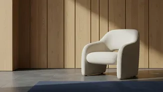 Check Condition Photos Before Borrowing Or Renting A Home Item