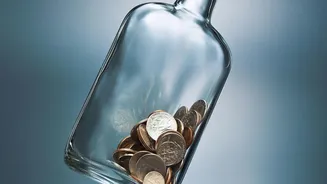 The Unchanged RBI Repo Rate Means No Immediate FD Rate Reset